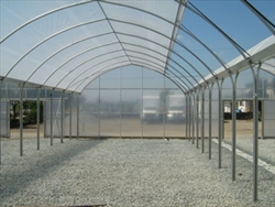 GreenhousesLS16